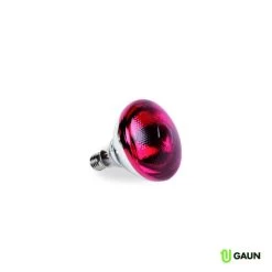 Gaun Ampoule Infrarouge PAR 100W