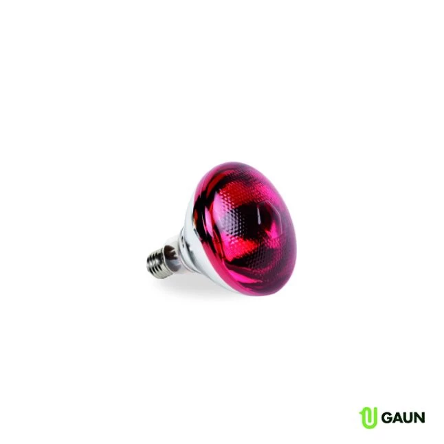 Gaun Ampoule Infrarouge PAR 100W 3 Gaun Ampoule Infrarouge PAR 100W