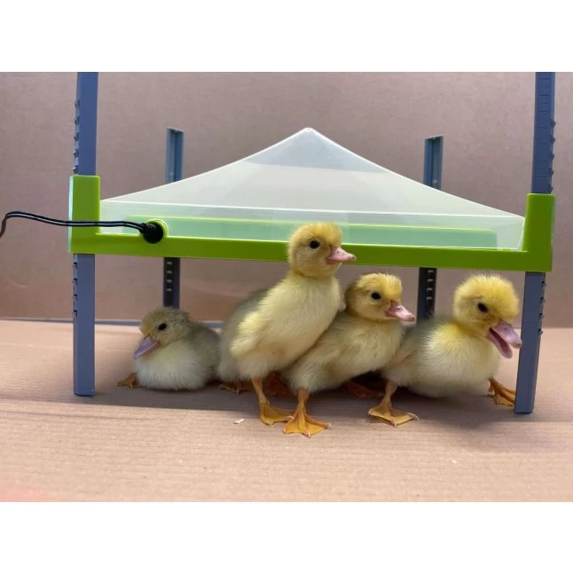 Couvercle De Protection De Panneau Chauffant Pour Poussin Caleo 700 30x20cm - River Systems 4 Couvercle De Protection De Panneau Chauffant Pour Poussin Caleo 700 30x20cm - River Systems – Image 2