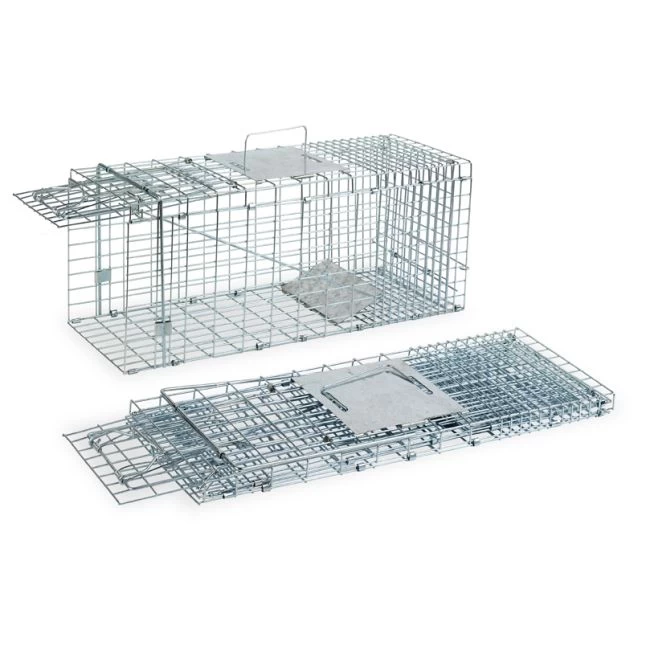 Cage Piège Anti Nuisible Poule Pliable Une Entrée - Gaun 3 Cage Piège Anti Nuisible Poule Pliable Une Entrée - Gaun