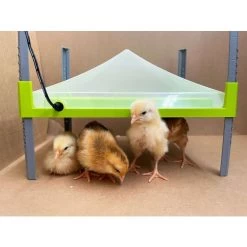 Couvercle De Protection De Panneau Chauffant Pour Poussin Caleo 700 30x20cm - River Systems 7 Couvercle De Protection De Panneau Chauffant Pour Poussin Caleo 700 30x20cm - River Systems -Poulailler Série Magasin 5 piastra riscaldante caleo river systems scaled 1