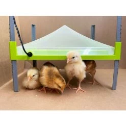 Couvercle De Protection De Panneau Chauffant Pour Poussin Caleo 1400 30x40cm - River Systems 7 Couvercle De Protection De Panneau Chauffant Pour Poussin Caleo 1400 30x40cm - River Systems -Poulailler Série Magasin 5 piastra riscaldante caleo river systems scaled 1