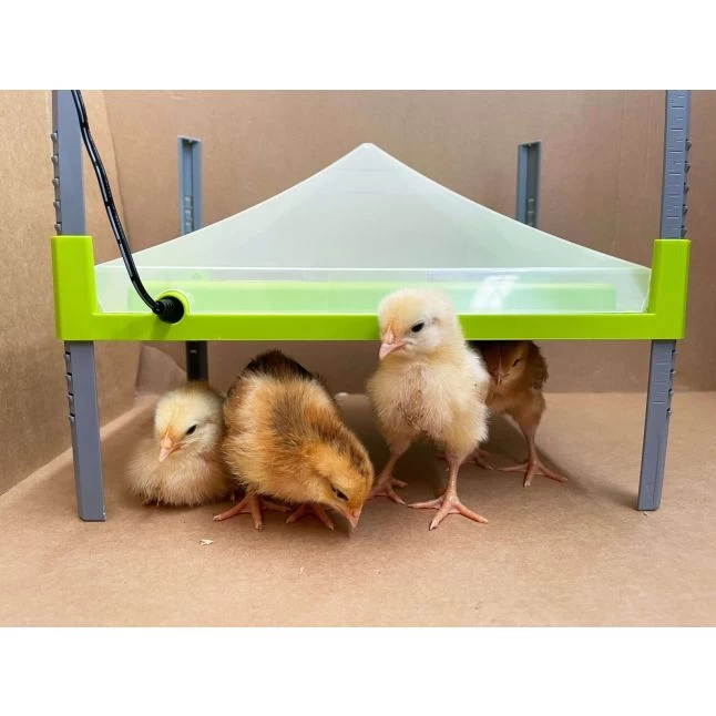 Couvercle De Protection De Panneau Chauffant Pour Poussin Caleo 1400 30x40cm - River Systems 5 Couvercle De Protection De Panneau Chauffant Pour Poussin Caleo 1400 30x40cm - River Systems – Image 3