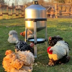 Abreuvoir Galvanisé Sur Pied Type 30L 12 Abreuvoir Galvanisé Sur Pied Type 30L -Poulailler Série Magasin abreuvoir volailles galvanise 30 litres avec poules