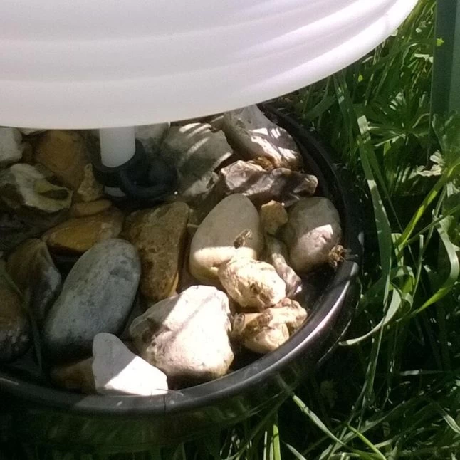 Abreuvoir Plastique Sur Pied 30L 4 Abreuvoir Plastique Sur Pied 30L – Image 3