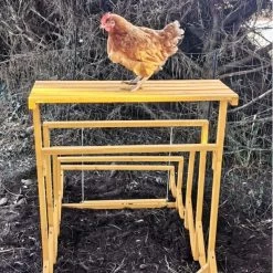 Aire De Jeux En Bois Pour Poule Avec Balançoire 19 Aire De Jeux En Bois Pour Poule Avec Balançoire -Poulailler Série Magasin aire de jeux poule avec balancoire avec poule arriere