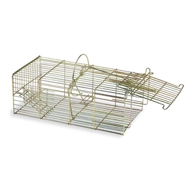Cage Piège Multi Capture Pour Petit Mammifère Gaun (18*36.5*16cm) 3 Cage Piège Multi Capture Pour Petit Mammifère Gaun (18*36.5*16cm)