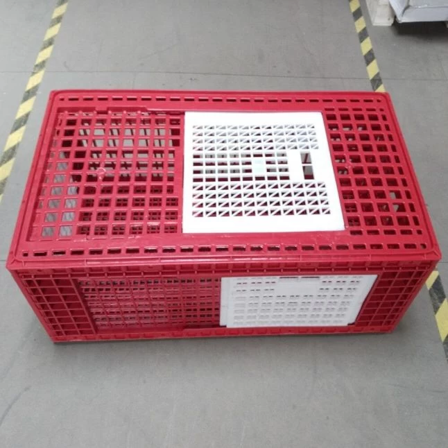 Cage Transport Grandes Volailles 96x57x42cm 3 Portes Rouge Et Blanche 4 Cage Transport Grandes Volailles 96x57x42cm 3 Portes Rouge Et Blanche – Image 2
