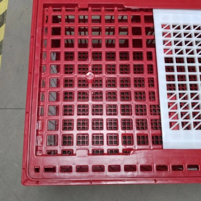 Cage Transport Grandes Volailles 96x57x42cm 3 Portes Rouge Et Blanche 7 Cage Transport Grandes Volailles 96x57x42cm 3 Portes Rouge Et Blanche – Image 5