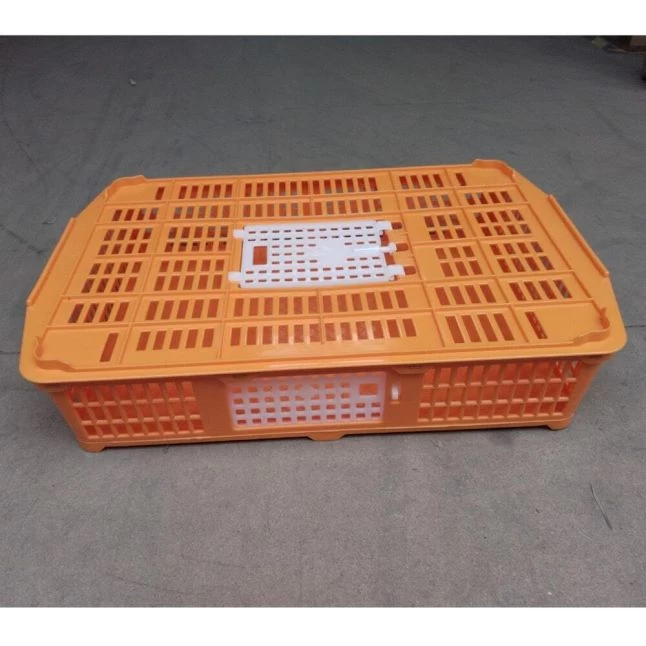 Cage Transport Petites Volailles 67x45x15cm 2 Portes Orange Et Blanche 3 Cage Transport Petites Volailles 67x45x15cm 2 Portes Orange Et Blanche