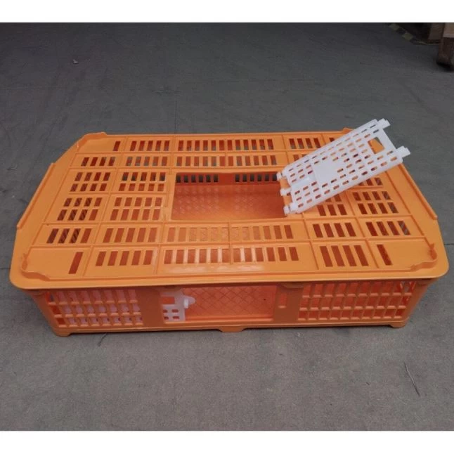 Cage Transport Petites Volailles 67x45x15cm 2 Portes Orange Et Blanche 5 Cage Transport Petites Volailles 67x45x15cm 2 Portes Orange Et Blanche – Image 3