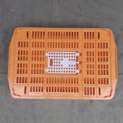 Cage Transport Petites Volailles 67x45x15cm 2 Portes Orange Et Blanche 15 Cage Transport Petites Volailles 67x45x15cm 2 Portes Orange Et Blanche -Poulailler Série Magasin cage transport volailles 67x45x15 aytav dessus fermee