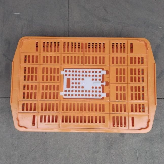 Cage Transport Petites Volailles 67x45x15cm 2 Portes Orange Et Blanche 9 Cage Transport Petites Volailles 67x45x15cm 2 Portes Orange Et Blanche – Image 7