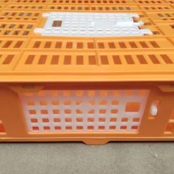 Cage Transport Petites Volailles 67x45x15cm 2 Portes Orange Et Blanche 14 Cage Transport Petites Volailles 67x45x15cm 2 Portes Orange Et Blanche -Poulailler Série Magasin cage transport volailles 67x45x15 aytav detail cote fermee