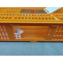Cage Transport Petites Volailles 67x45x15cm 2 Portes Orange Et Blanche 13 Cage Transport Petites Volailles 67x45x15cm 2 Portes Orange Et Blanche -Poulailler Série Magasin cage transport volailles 67x45x15 aytav detail cote ouverte
