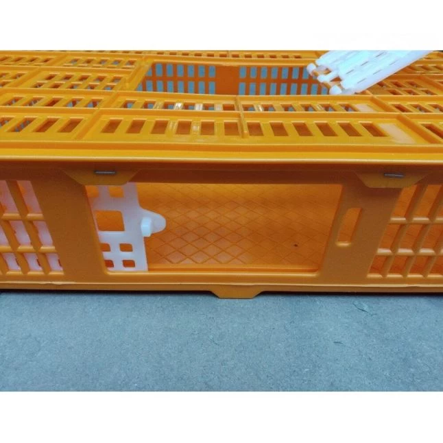 Cage Transport Petites Volailles 67x45x15cm 2 Portes Orange Et Blanche 7 Cage Transport Petites Volailles 67x45x15cm 2 Portes Orange Et Blanche – Image 5