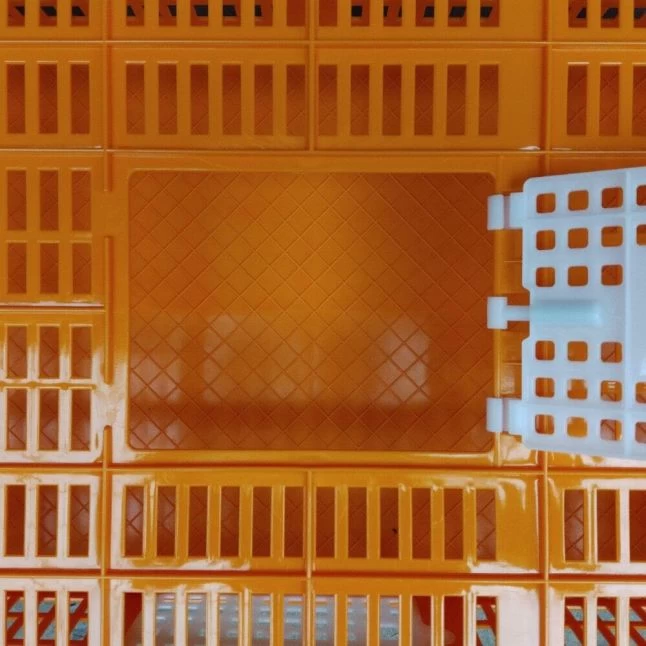 Cage Transport Petites Volailles 67x45x15cm 2 Portes Orange Et Blanche 6 Cage Transport Petites Volailles 67x45x15cm 2 Portes Orange Et Blanche – Image 4