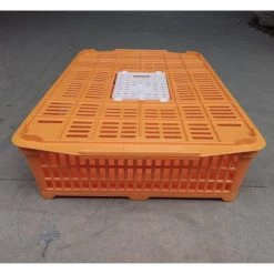 Cage Transport Petites Volailles 67x45x15cm 2 Portes Orange Et Blanche 10 Cage Transport Petites Volailles 67x45x15cm 2 Portes Orange Et Blanche -Poulailler Série Magasin cage transport volailles 67x45x15 aytav vue cote fermee