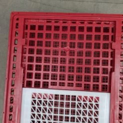 Cage Transport Poules Et Volailles 96x57x27cm 2 Portes Rouge Et Blanche 13 Cage Transport Poules Et Volailles 96x57x27cm 2 Portes Rouge Et Blanche -Poulailler Série Magasin cage transport volailles 96x57x27 aytav gros plan