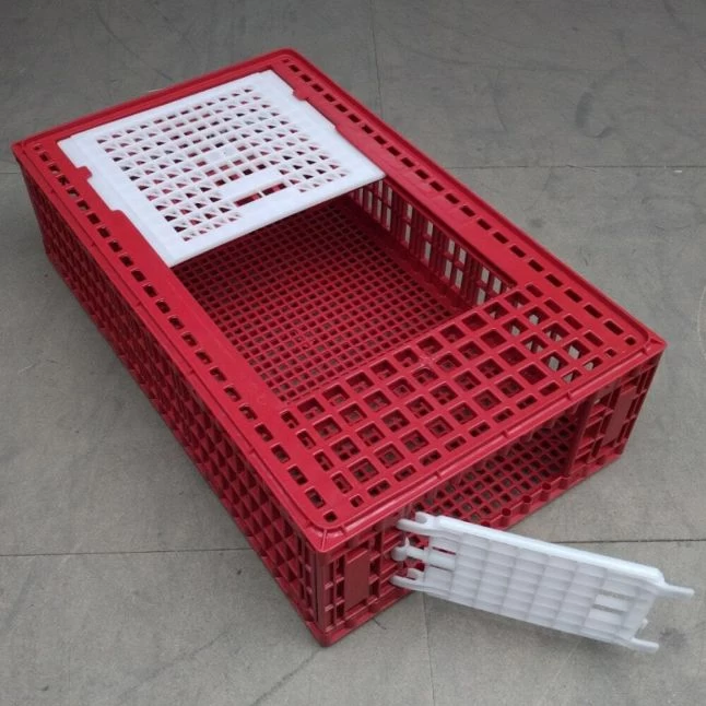 Cage Transport Poules Et Volailles 96x57x27cm 2 Portes Rouge Et Blanche 4 Cage Transport Poules Et Volailles 96x57x27cm 2 Portes Rouge Et Blanche – Image 2