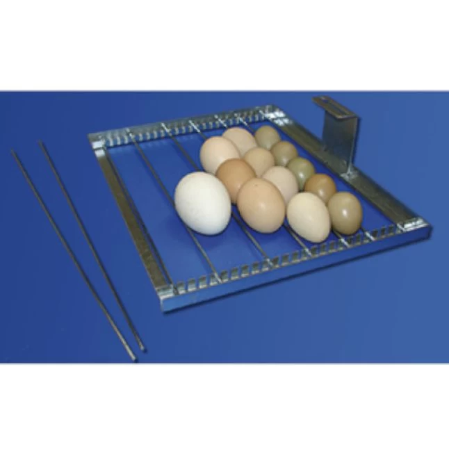 Couveuse Automatique Digitale Poule Cip Cip 40 Mini LED PVC Capacité 40 œufs - FIEM 7 Couveuse Automatique Digitale Poule Cip Cip 40 Mini LED PVC Capacité 40 œufs - FIEM – Image 5