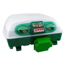 Couveuse Automatique Digitale Poule ET 49 Capacité 49 œufs - River Systems