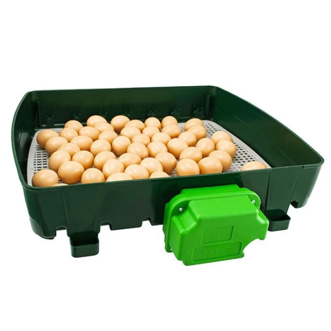 Couveuse Automatique Digitale Poule ET 49 Capacité 49 œufs - River Systems 8 Couveuse Automatique Digitale Poule ET 49 Capacité 49 œufs - River Systems – Image 6