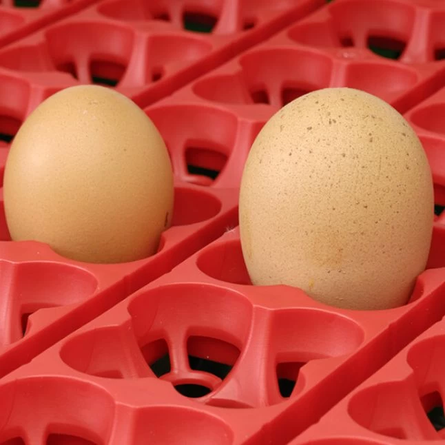 Couveuse Automatique Digitale Poule ET 12 Capacité 12 œufs - River Systems 6 Couveuse Automatique Digitale Poule ET 12 Capacité 12 œufs - River Systems – Image 4