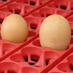 Couveuse Automatique Digitale Poule ET 49 Capacité 49 œufs - River Systems 13 Couveuse Automatique Digitale Poule ET 49 Capacité 49 œufs - River Systems -Poulailler Série Magasin couveuse automatique digitale et river systems grille retournement automatique 2