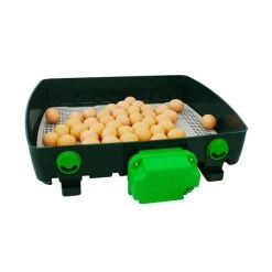 Couveuse Automatique Digitale Poule ET Super Capacité 49 œufs - River Systems 17 Couveuse Automatique Digitale Poule ET Super Capacité 49 œufs - River Systems -Poulailler Série Magasin couveuse automatique digitale et super 49 river systems ouverte