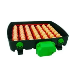 Couveuse Automatique Digitale Poule ET Super Capacité 49 œufs - River Systems 16 Couveuse Automatique Digitale Poule ET Super Capacité 49 œufs - River Systems -Poulailler Série Magasin couveuse automatique digitale et super 49 river systems ouverte oeufs ranges