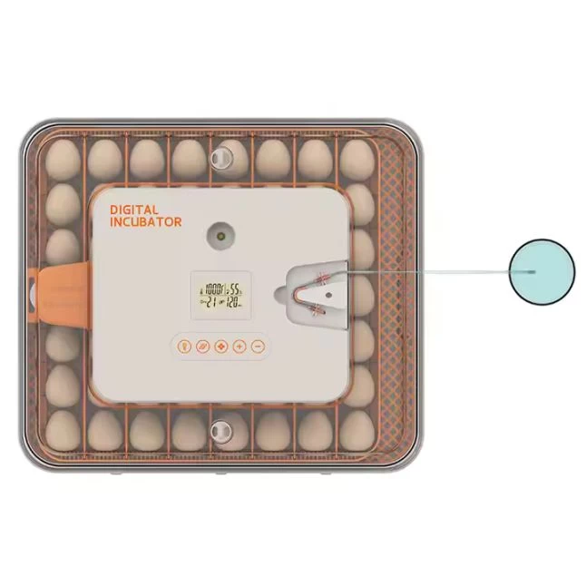 Couveuse Automatique Digitale Poule Dual Power Capacité 56 œufs - HHD 4 Couveuse Automatique Digitale Poule Dual Power Capacité 56 œufs - HHD – Image 2
