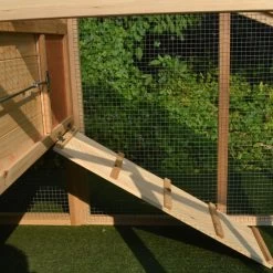 Poulailler Soie Toit Shingle Et Polycarbonate 4 à 6 Poules 15 Poulailler Soie Toit Shingle Et Polycarbonate 4 à 6 Poules -Poulailler Série Magasin dsc 0494