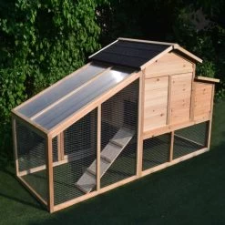 Poulailler Soie Toit Shingle Et Polycarbonate 4 à 6 Poules 13 Poulailler Soie Toit Shingle Et Polycarbonate 4 à 6 Poules -Poulailler Série Magasin dsc 0511