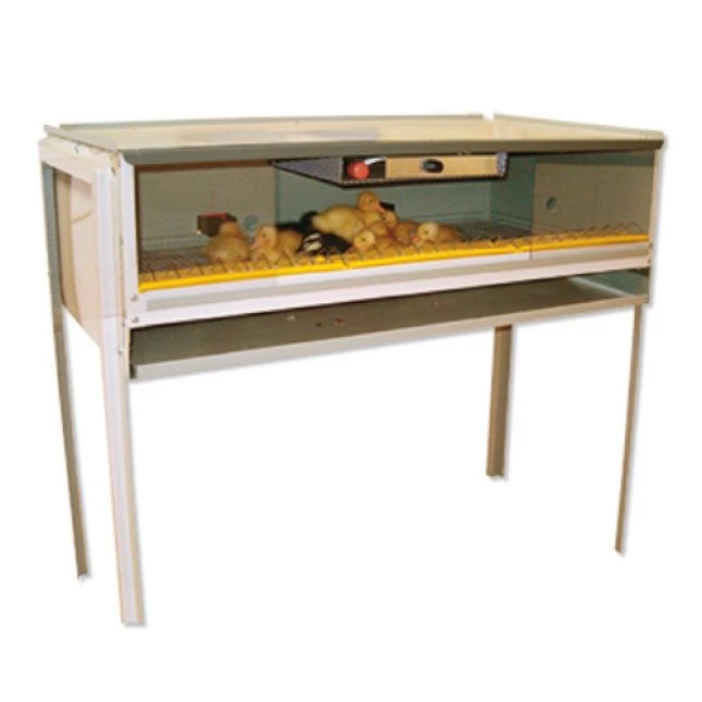 Eleveuse Artificielle Poussins Semi-professionnelle Tout équipée - FIEM 3 Eleveuse Artificielle Poussins Semi-professionnelle Tout équipée - FIEM