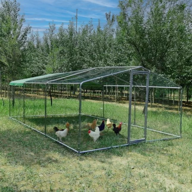 Enclos Poulailler 18m² Tubes 38mm H2,25m - Parc Grillagé Renforcé 6x3m - Acier Galvanisé 3 Enclos Poulailler 18m² Tubes 38mm H2,25m - Parc Grillagé Renforcé 6x3m - Acier Galvanisé