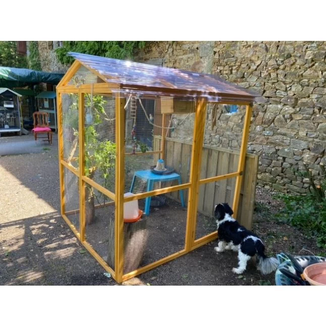 Grand Parc Grillagé Pour Poulailler Vorwerk 8 Grand Parc Grillagé Pour Poulailler Vorwerk – Image 6