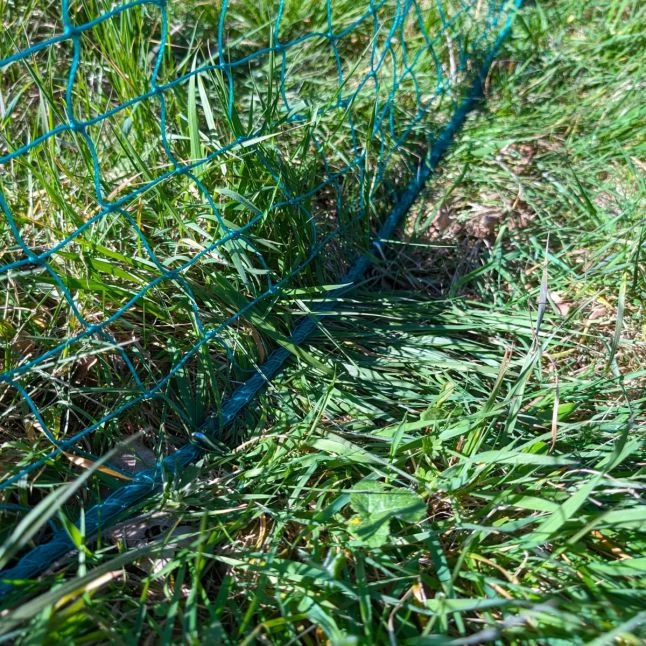 Filet Poule Grande Hauteur Double Pointe 50m X 1,26m - Zen Farm 14 Filet Poule Grande Hauteur Double Pointe 50m X 1,26m - Zen Farm – Image 12