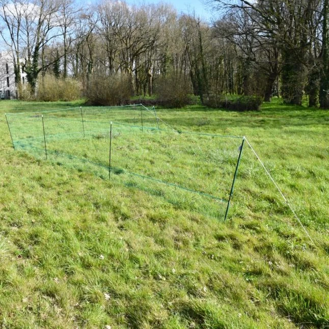 Filet Poule Grande Hauteur Double Pointe 50m X 1,26m - Zen Farm 4 Filet Poule Grande Hauteur Double Pointe 50m X 1,26m - Zen Farm – Image 2