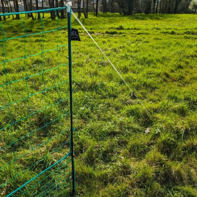 Filet Poule Grande Hauteur Double Pointe 50m X 1,26m - Zen Farm 22 Filet Poule Grande Hauteur Double Pointe 50m X 1,26m - Zen Farm – Image 20