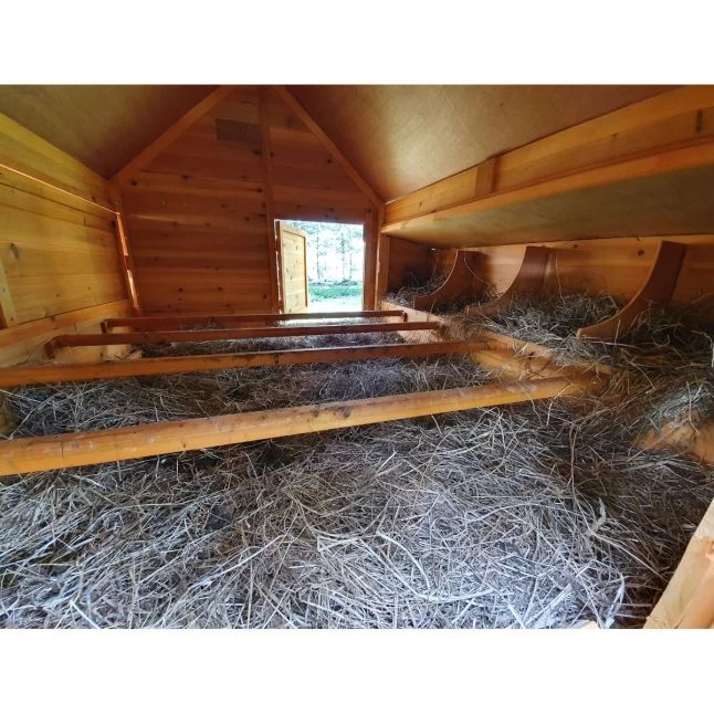 Poulailler Cémani XXL Toit Shingle Noir 15 à 18 Poules 11 Poulailler Cémani XXL Toit Shingle Noir 15 à 18 Poules – Image 9