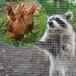 Grillage Poulailler Galvanisé Maille Fine Carrée Fensanet 25m X 1m épaisseur 0,8 Mm - Nortene 5 Grillage Poulailler Galvanisé Maille Fine Carrée Fensanet 25m X 1m épaisseur 0,8 Mm - Nortene -Poulailler Série Magasin grillage maille carree poule fensanet nortene exemple 1