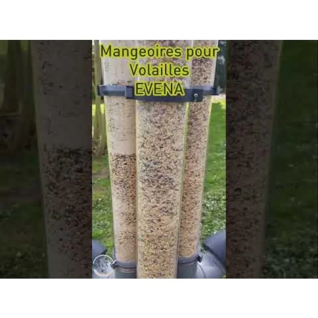 Mangeoire Pour Poule En Plastique Tube Gris 7kg Prima 2 - Evena 10 Mangeoire Pour Poule En Plastique Tube Gris 7kg Prima 2 - Evena – Image 8