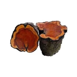 Huile De Cade Pure Poule 1L - Oléobois 7 Huile De Cade Pure Poule 1L - Oléobois -Poulailler Série Magasin huile pure de cade 1l oleobois bois