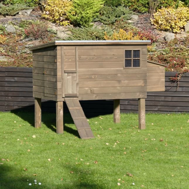 Poulailler Houdan XL Sur Pilotis Toit Shingle Noir 6 Poules Bois Epicéa 2 Poulailler Houdan XL Sur Pilotis Toit Shingle Noir 6 Poules Bois Epicéa