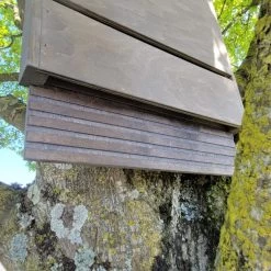 Nichoir Chauve-souris Bois FSC Grande Taille 9 Nichoir Chauve-souris Bois FSC Grande Taille -Poulailler Série Magasin maison chauve souris grande d tail entr 2