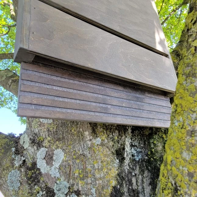 Nichoir Chauve-souris Bois FSC Grande Taille 5 Nichoir Chauve-souris Bois FSC Grande Taille – Image 3