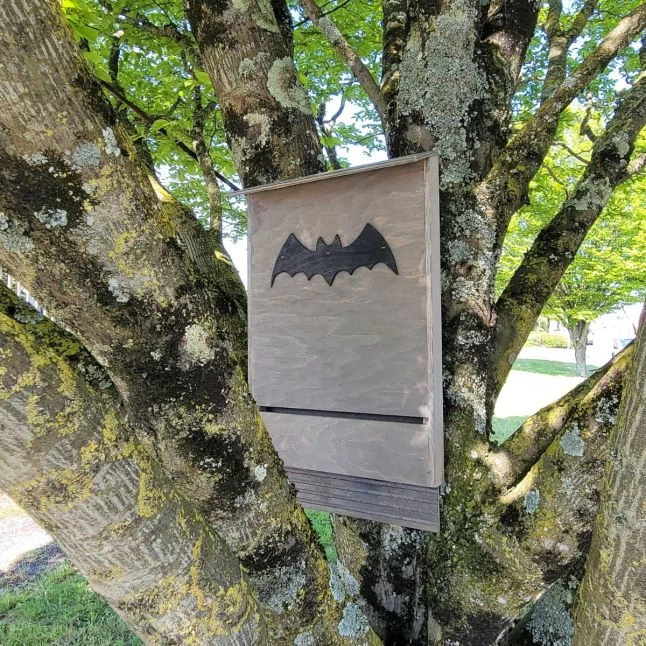 Nichoir Chauve-souris Bois FSC Grande Taille 3 Nichoir Chauve-souris Bois FSC Grande Taille