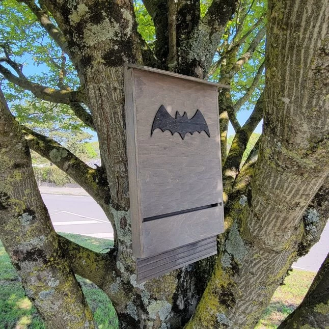 Nichoir Chauve-souris Bois FSC Grande Taille 7 Nichoir Chauve-souris Bois FSC Grande Taille – Image 5