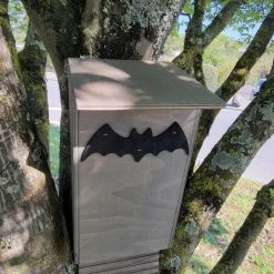 Nichoir Chauve-souris Bois FSC Petite Taille -Poulailler Série Magasin maison chauve souris petite face avant 1
